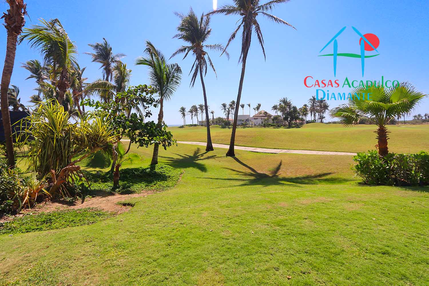 Delta 4 - Terraza y alberca 15